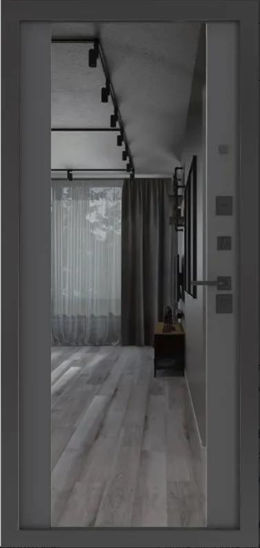 Товар Дверь BN-01.1 DIS006812